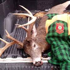 Robert Howe