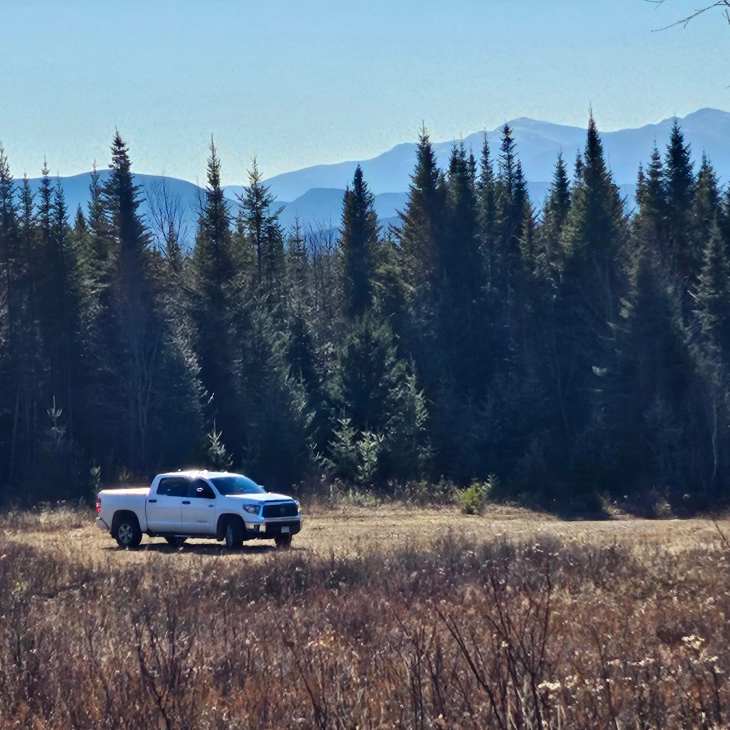 Mountain Whitetail Adventures