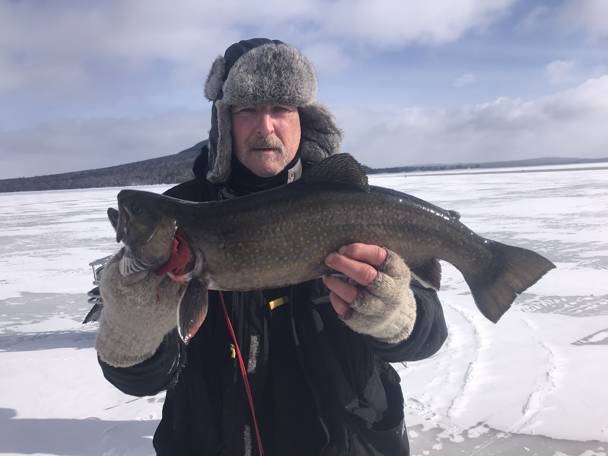 Bill Laflamme