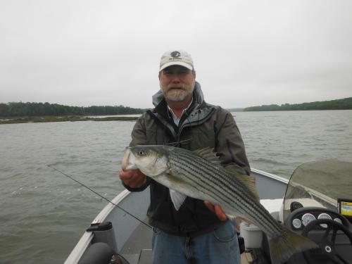 Don Kleiner